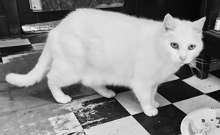 Resized_20250414_093316A - Copy