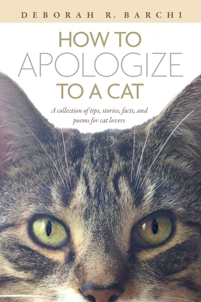 Book_Cover_how-to-apologize-to-a-cat-Barchi